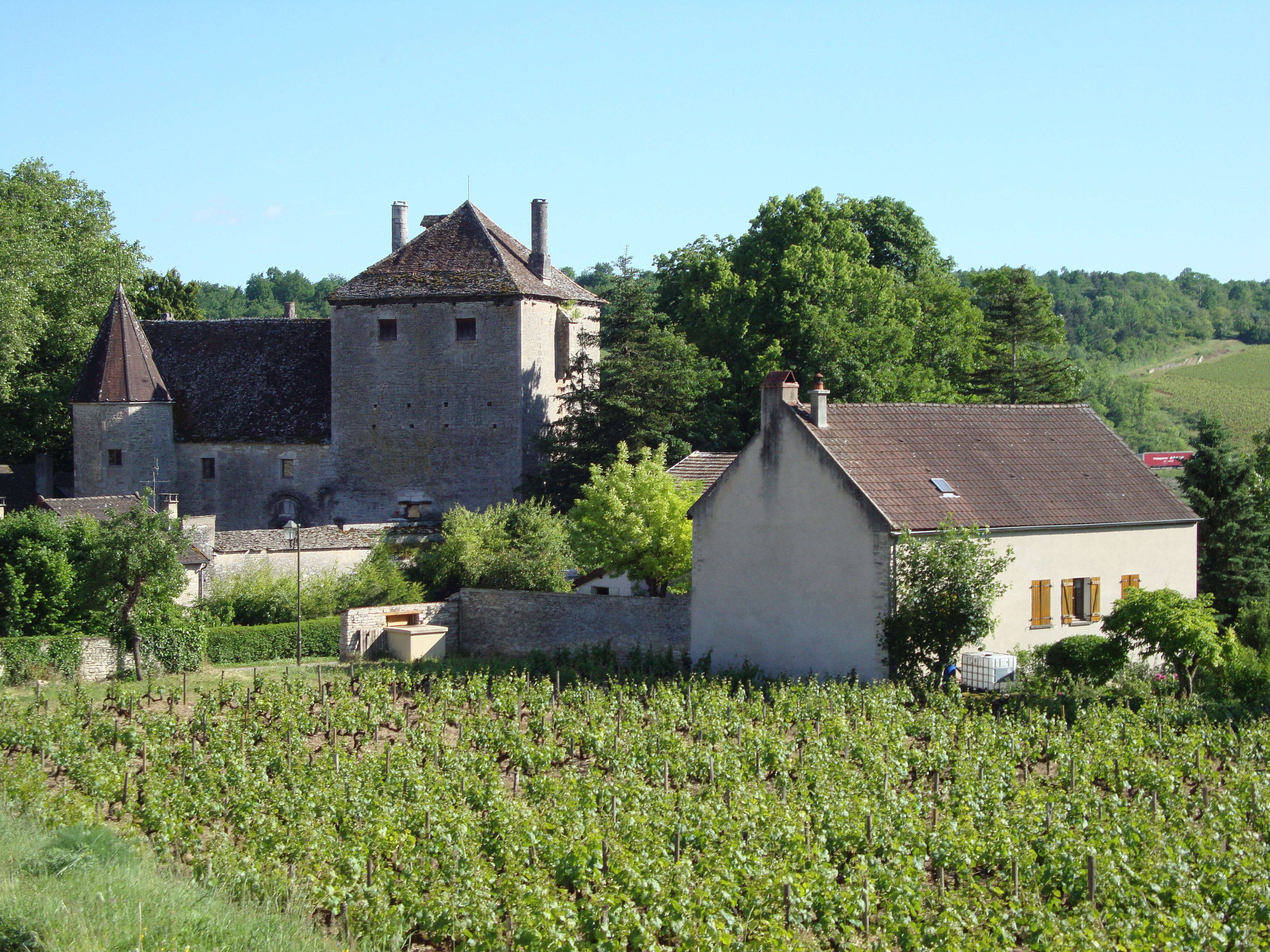 Chateau de Gamay