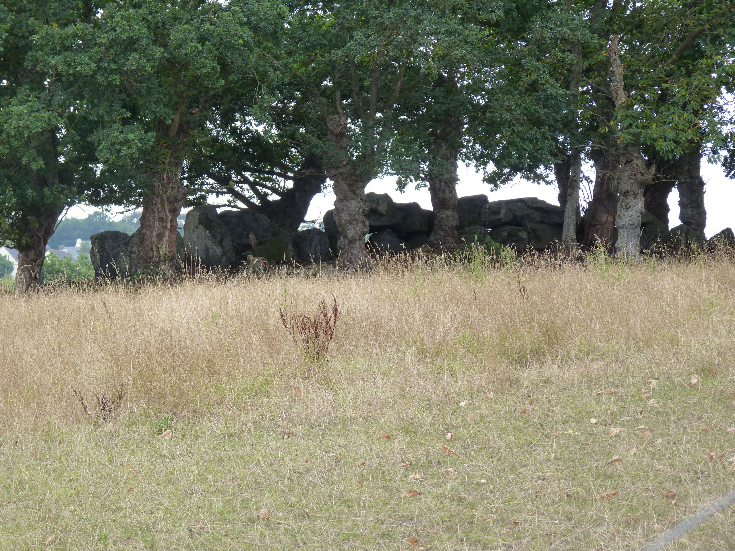 La Roche Camio gallery grave