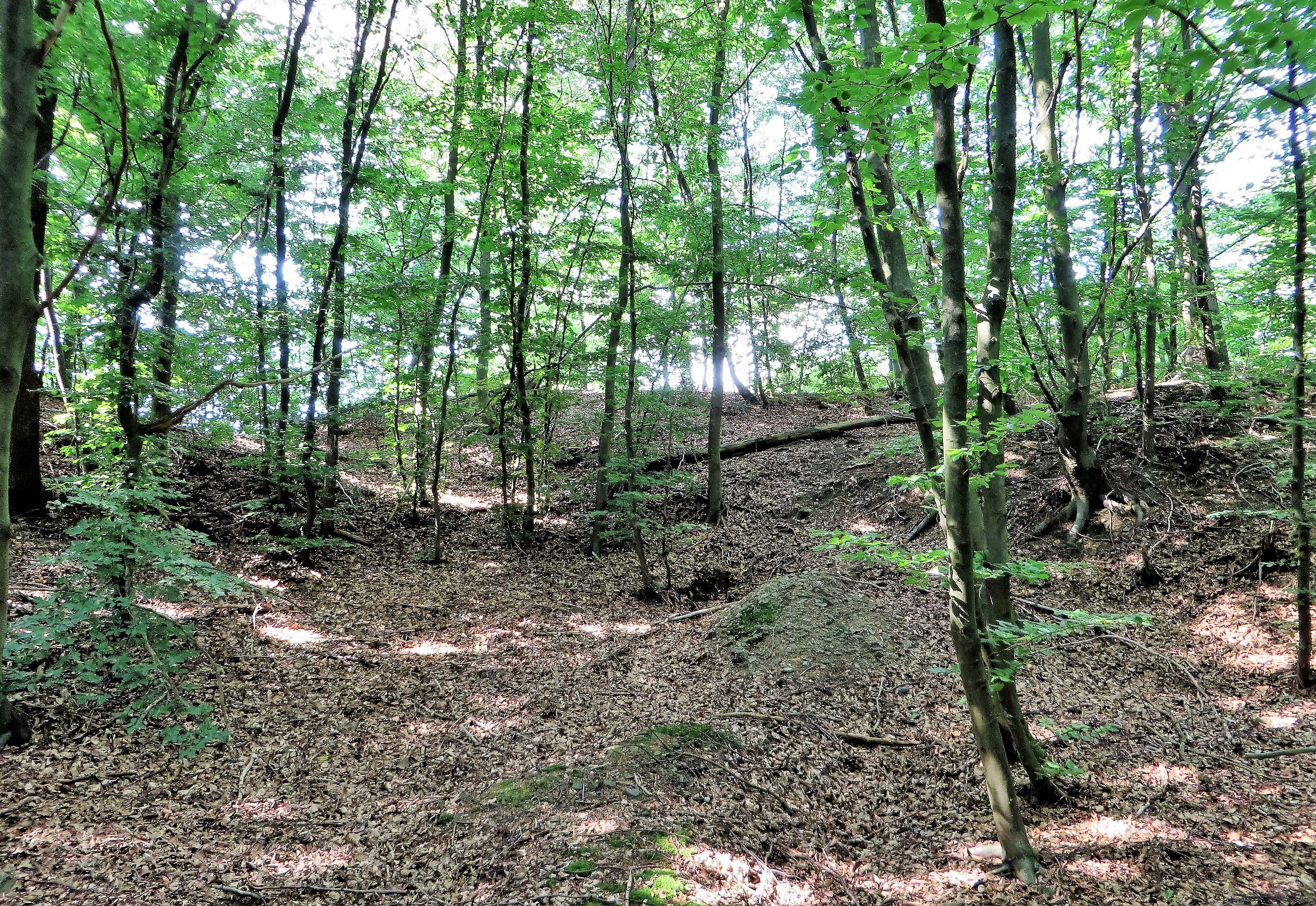 Wallburg Sieben Gräben