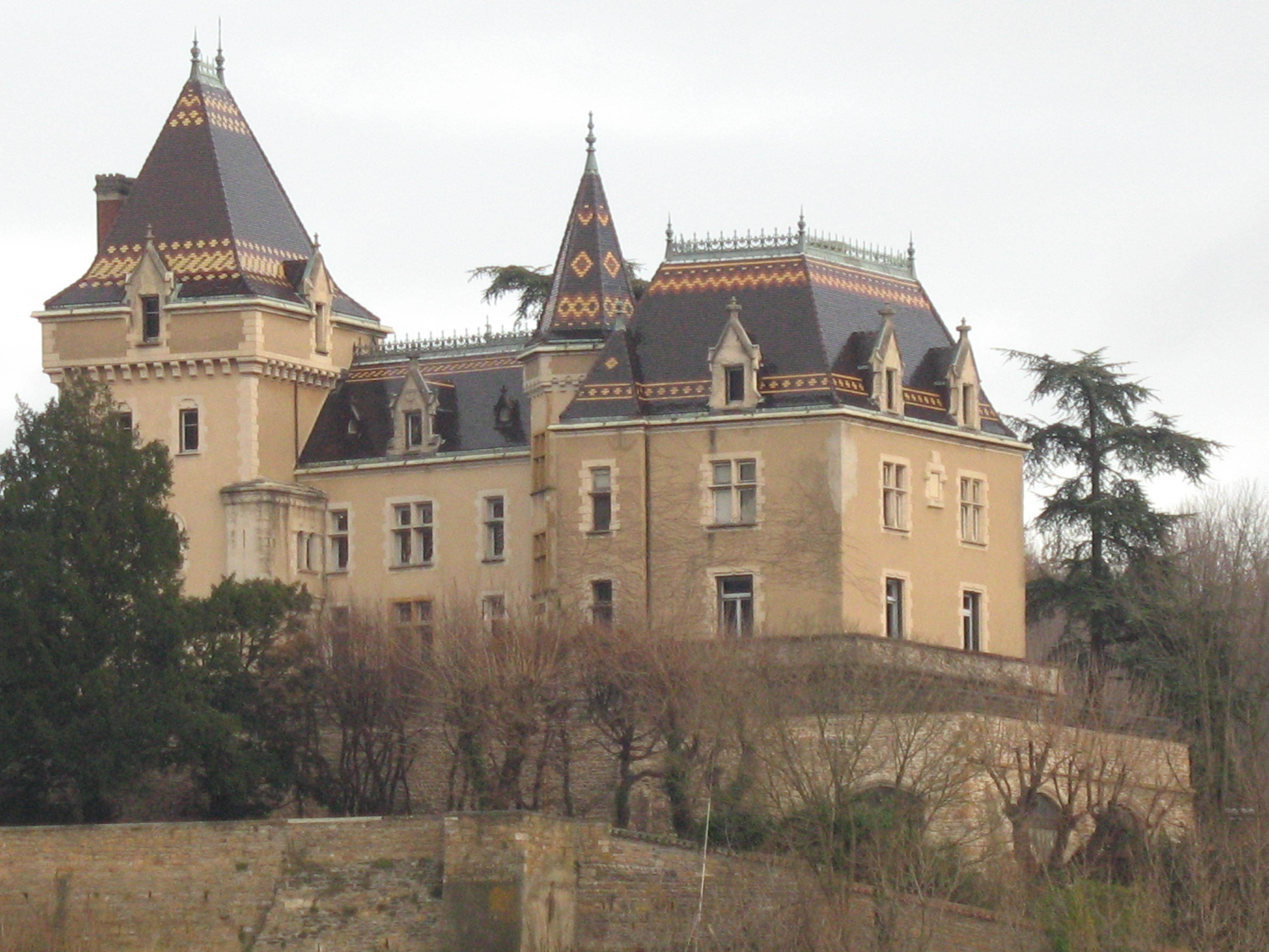 Chateau de Rochetaillee-sur-Saone