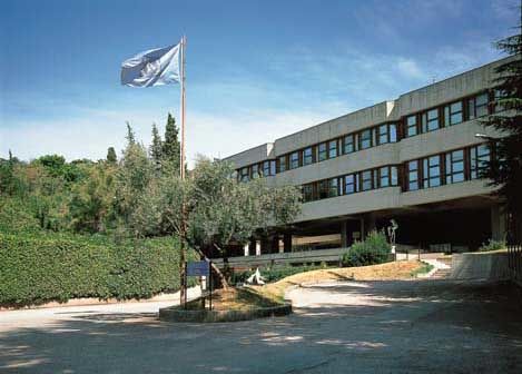 International Centre for Theoretical Physics