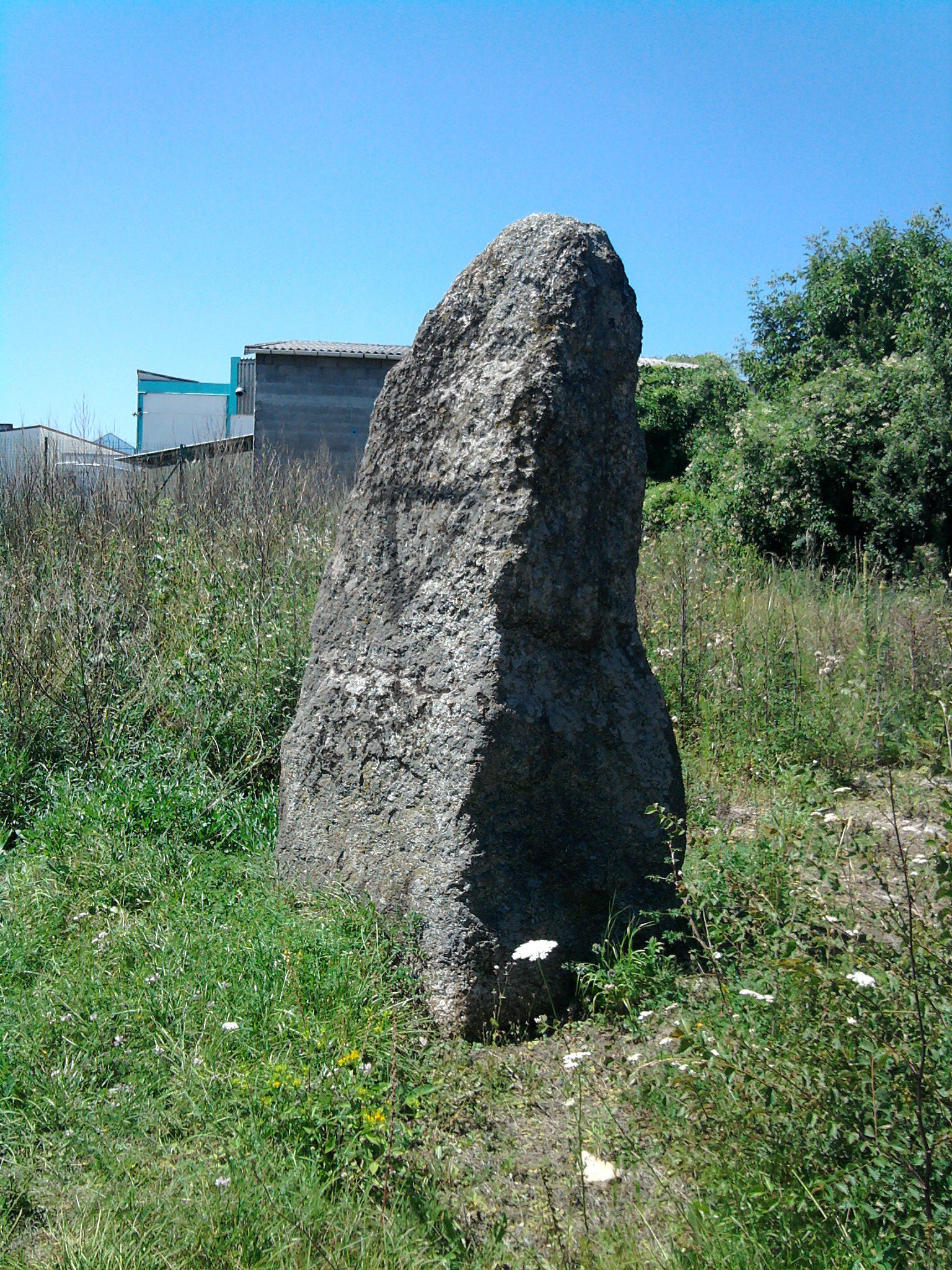 Menhir du Pont d'Aubieres dit de La Pierre Piquee