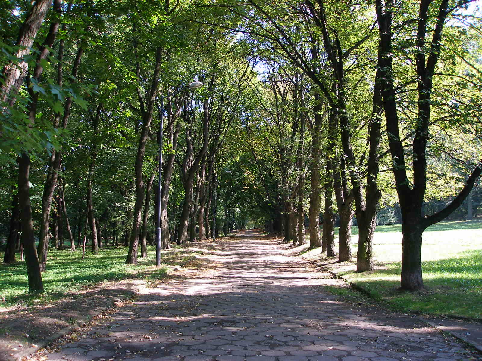Park miejski im. Franciszka Kachla