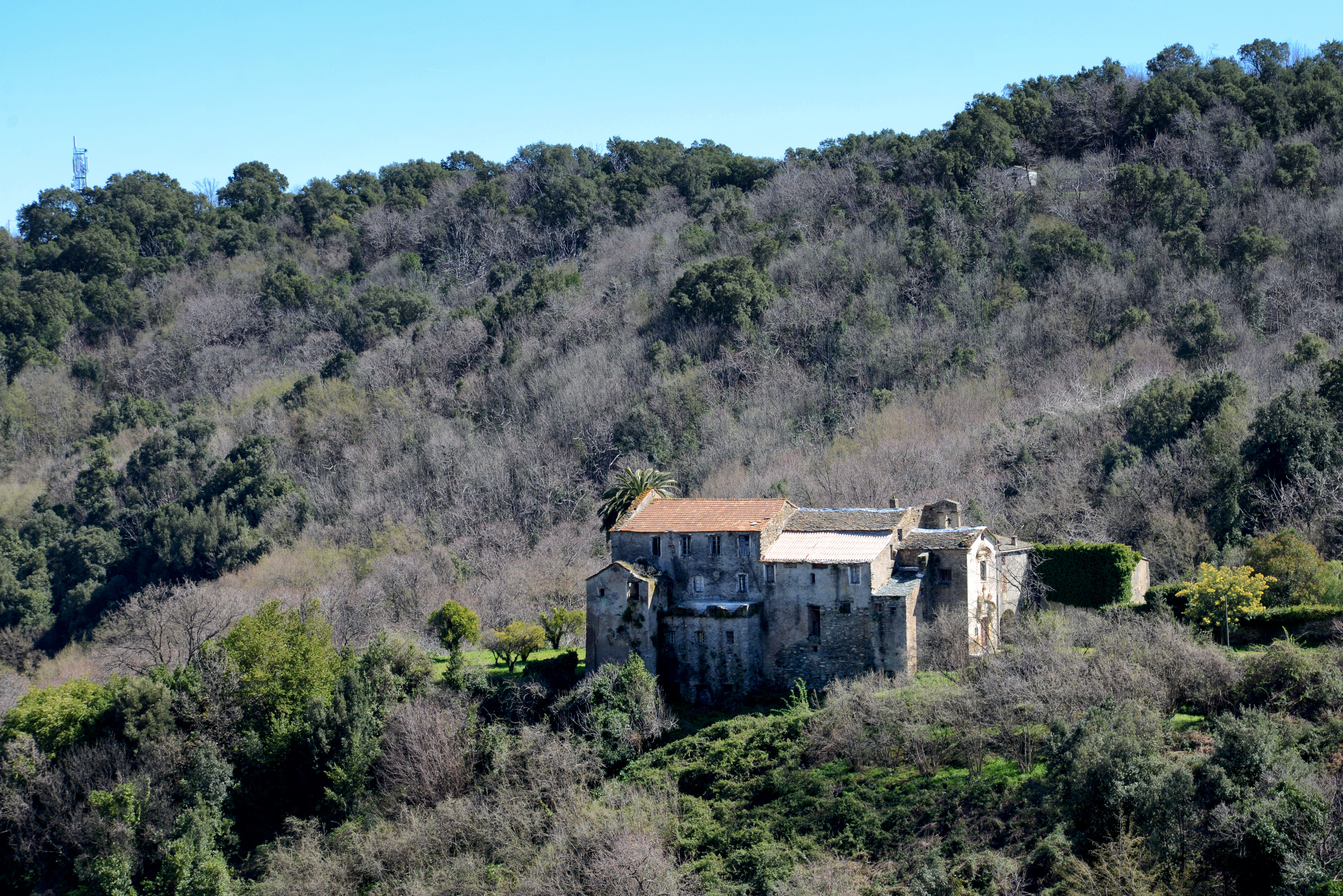 Ancien couvent Notre-Dame des Graces de Vescovato