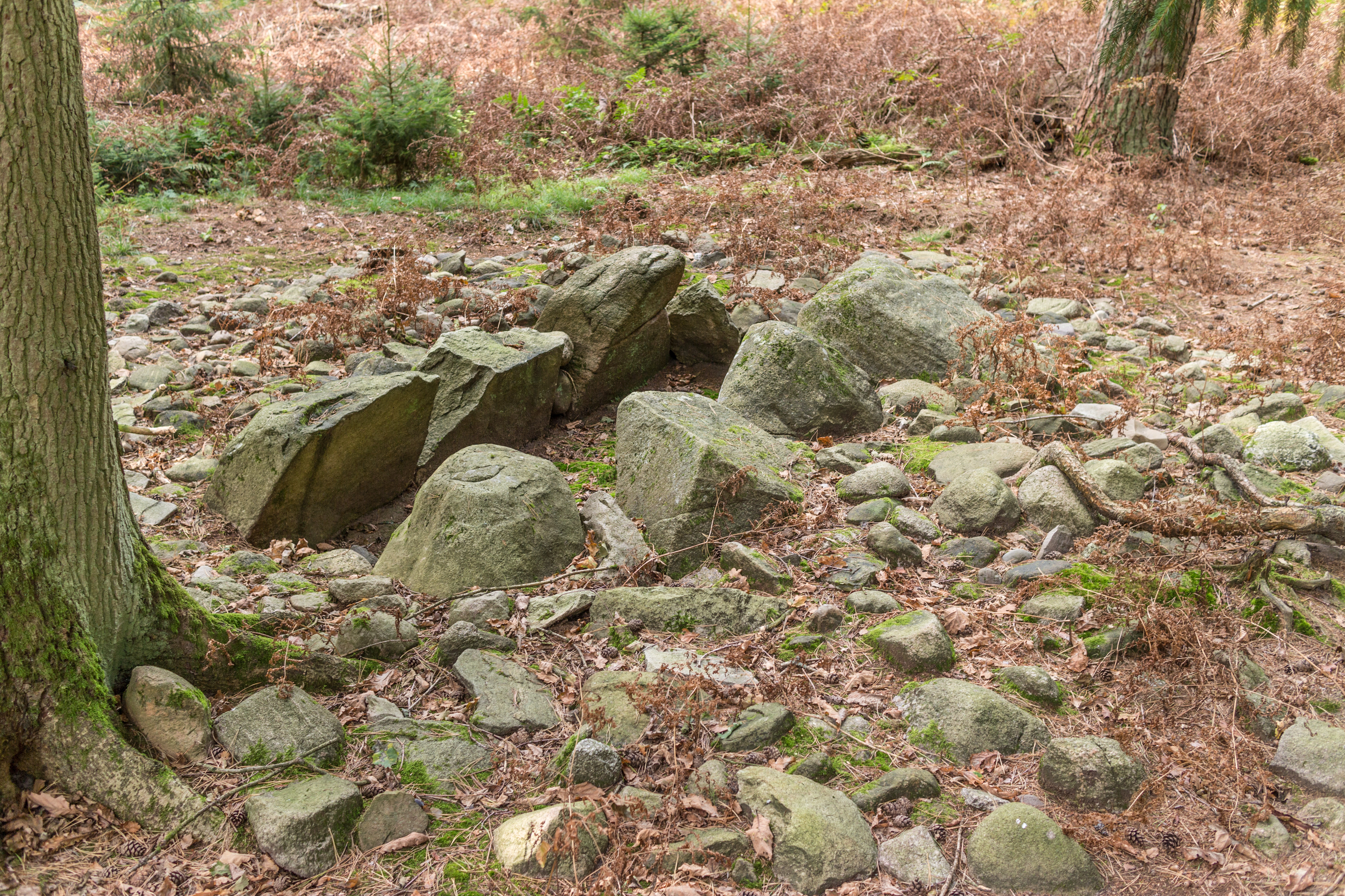 Steinkiste in der Feldmark Rade