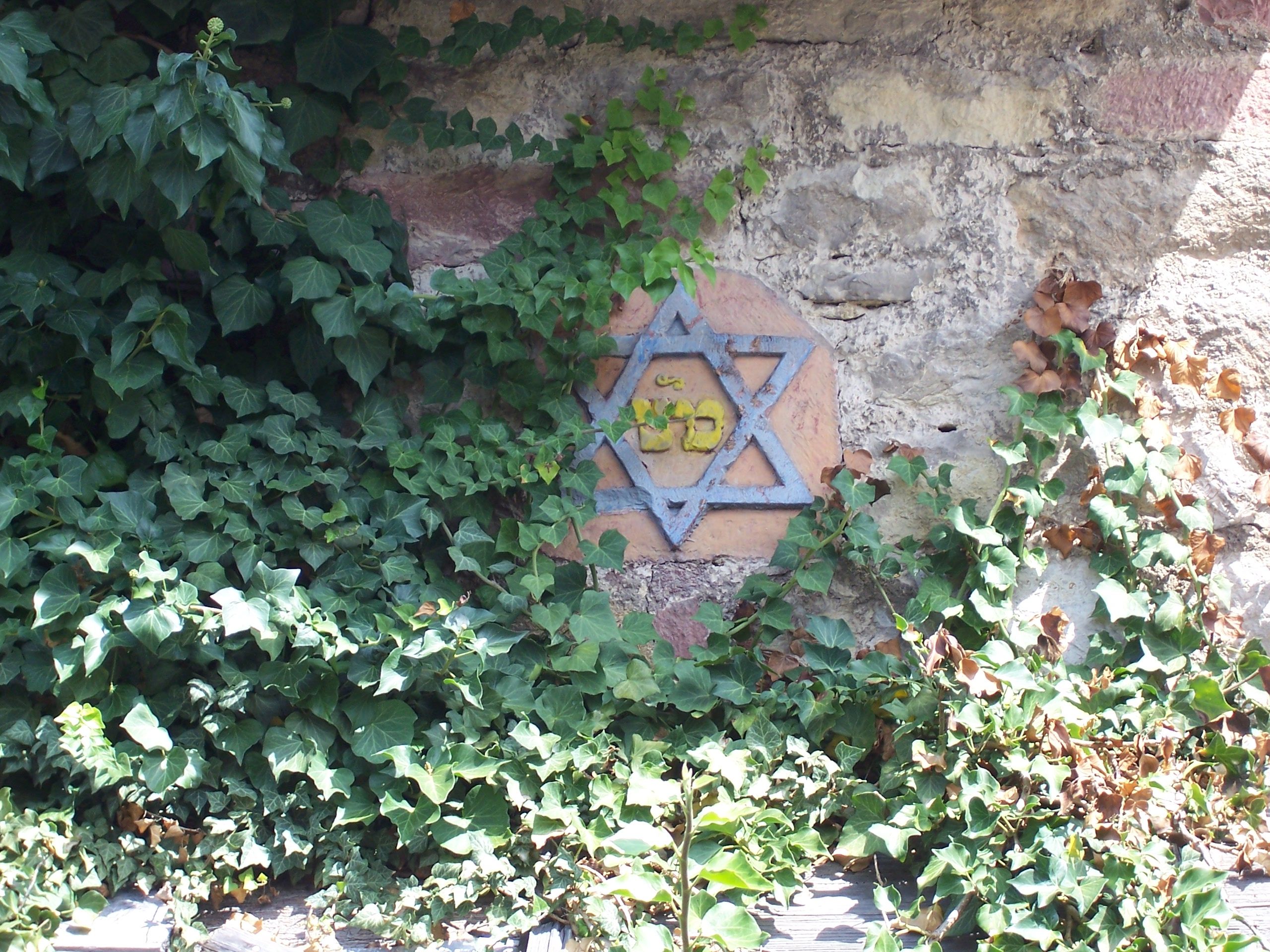 Synagoge