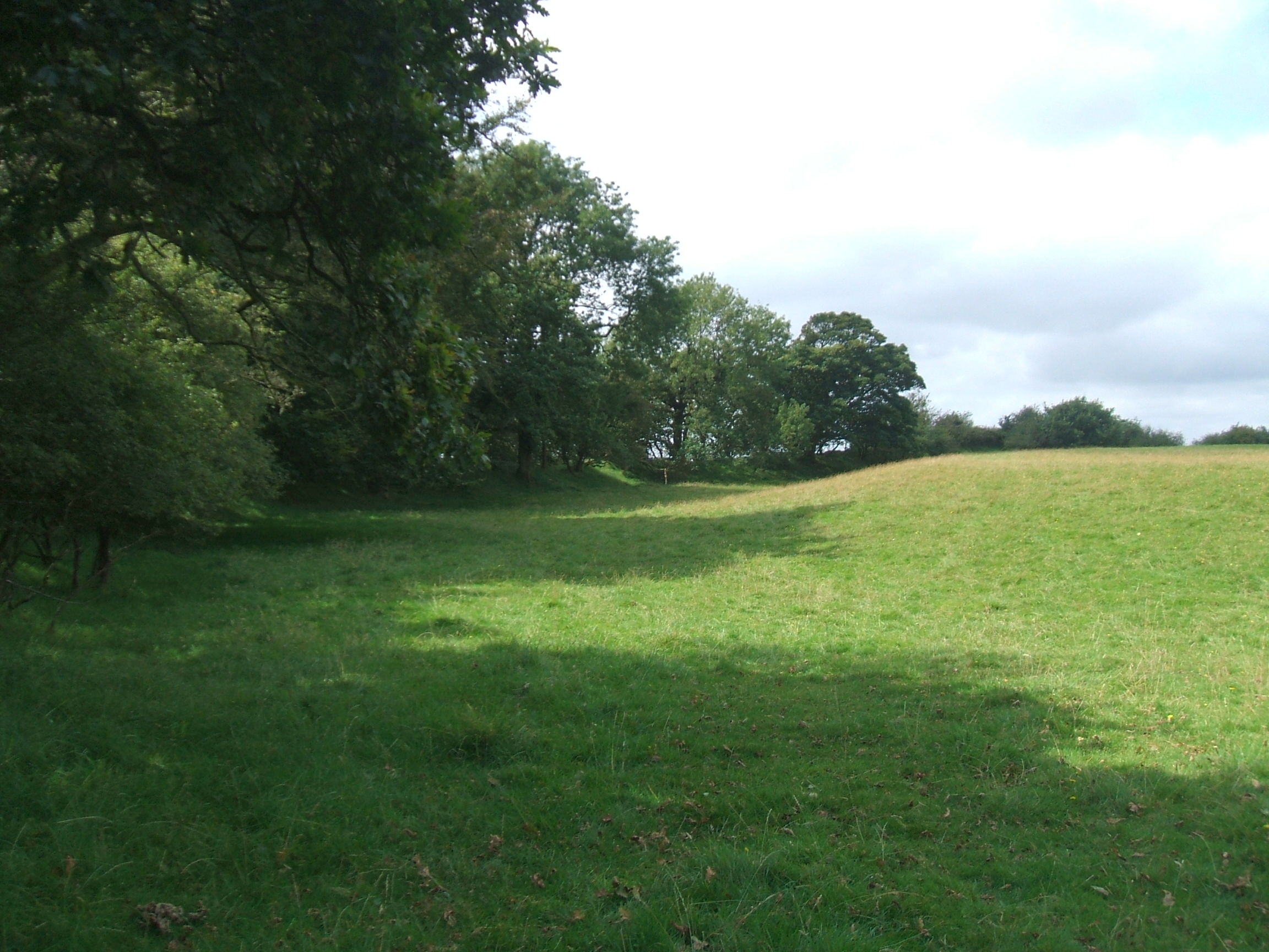 Cadbury Castle