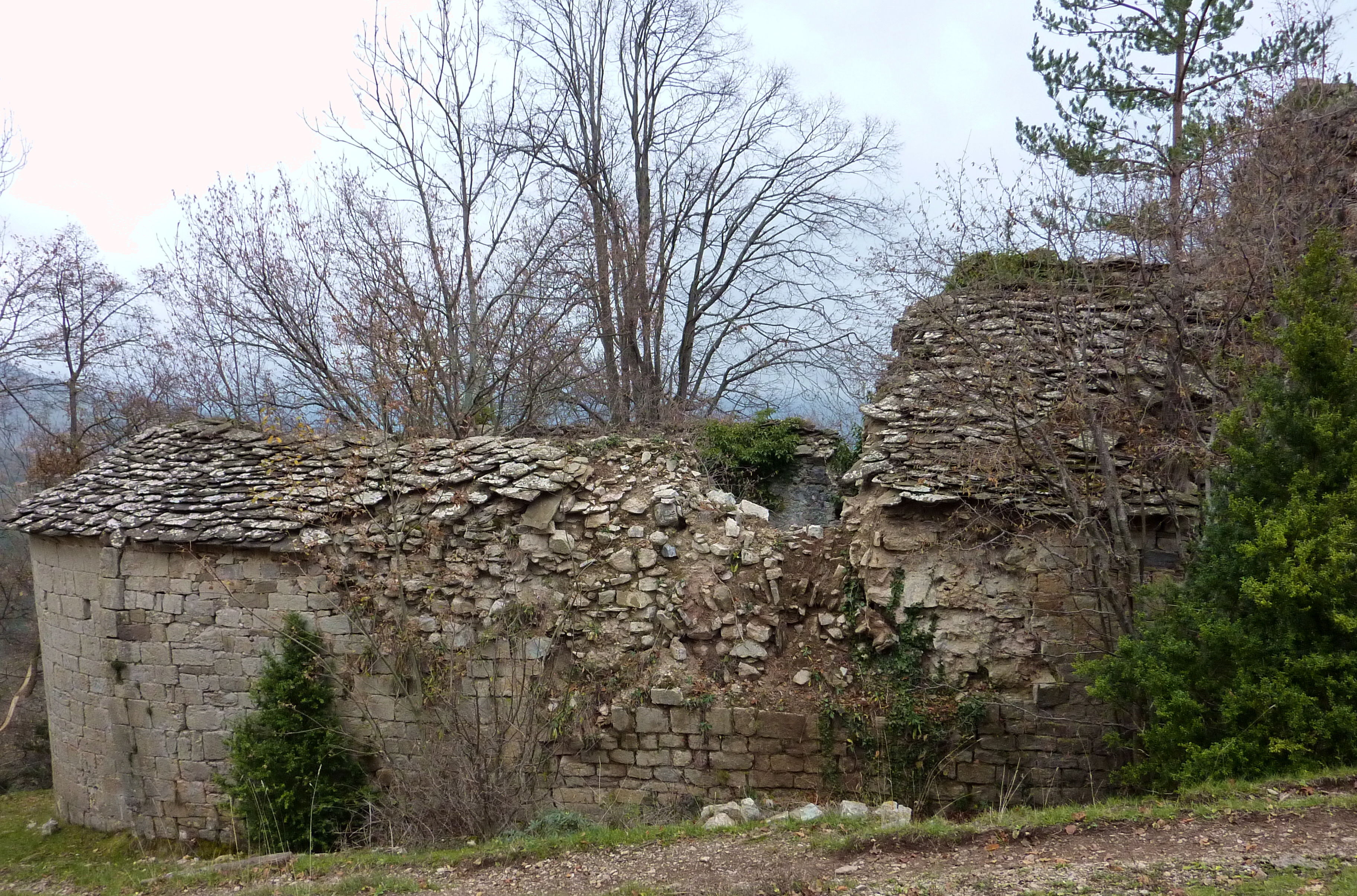 Santa Maria de Vidabona