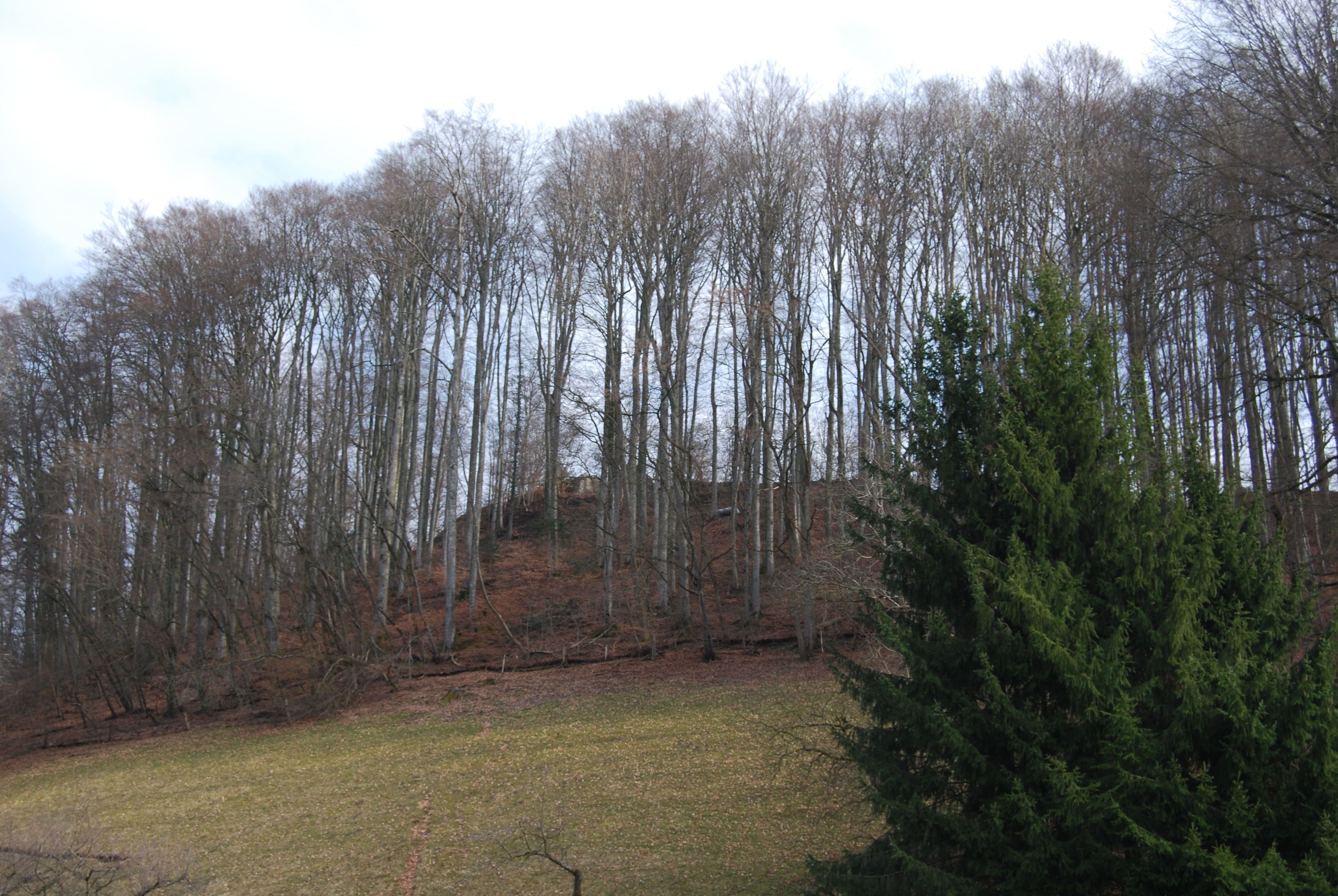 Burgruine Grünenberg