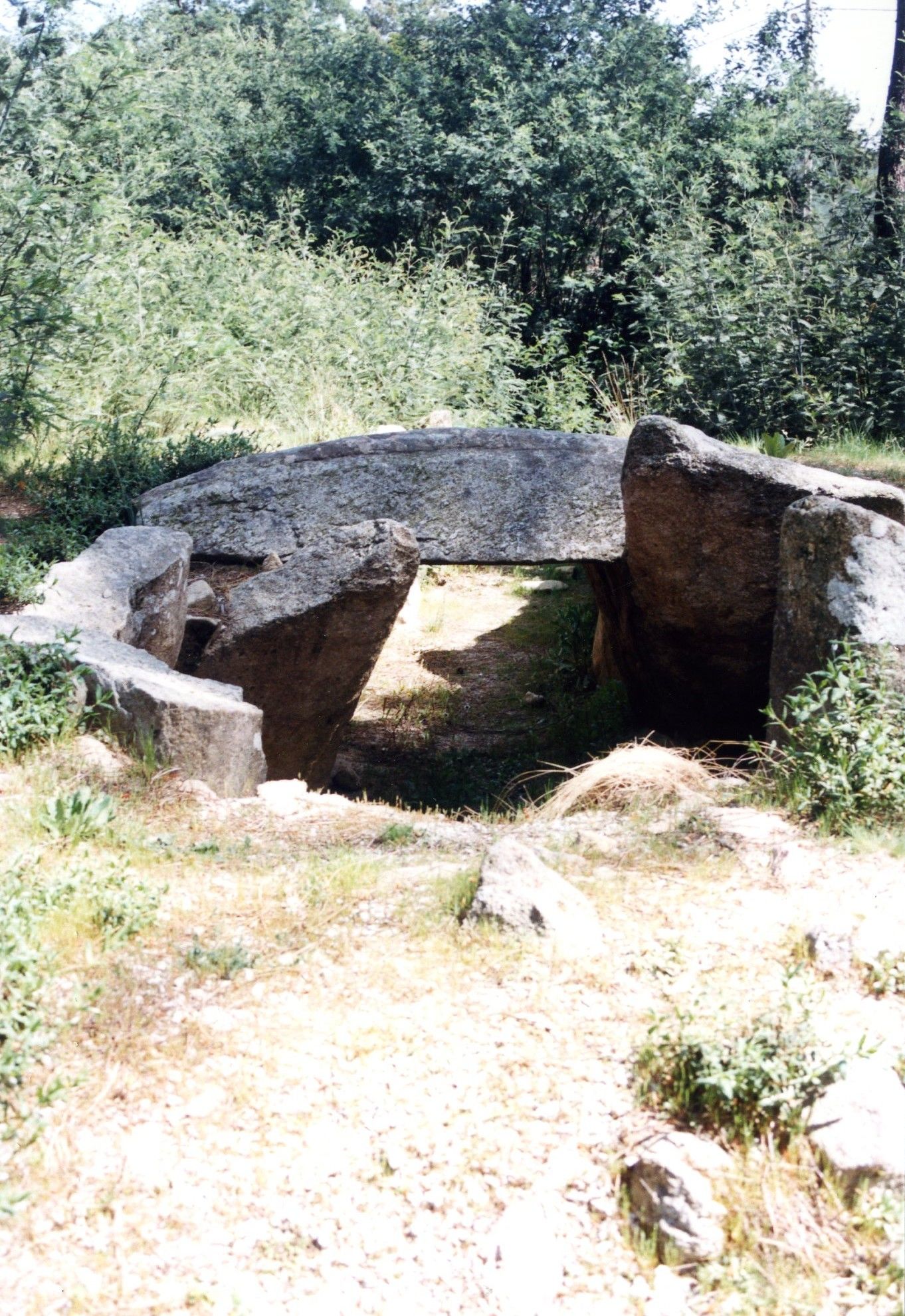 Anta do Pinheiro dos Abracos