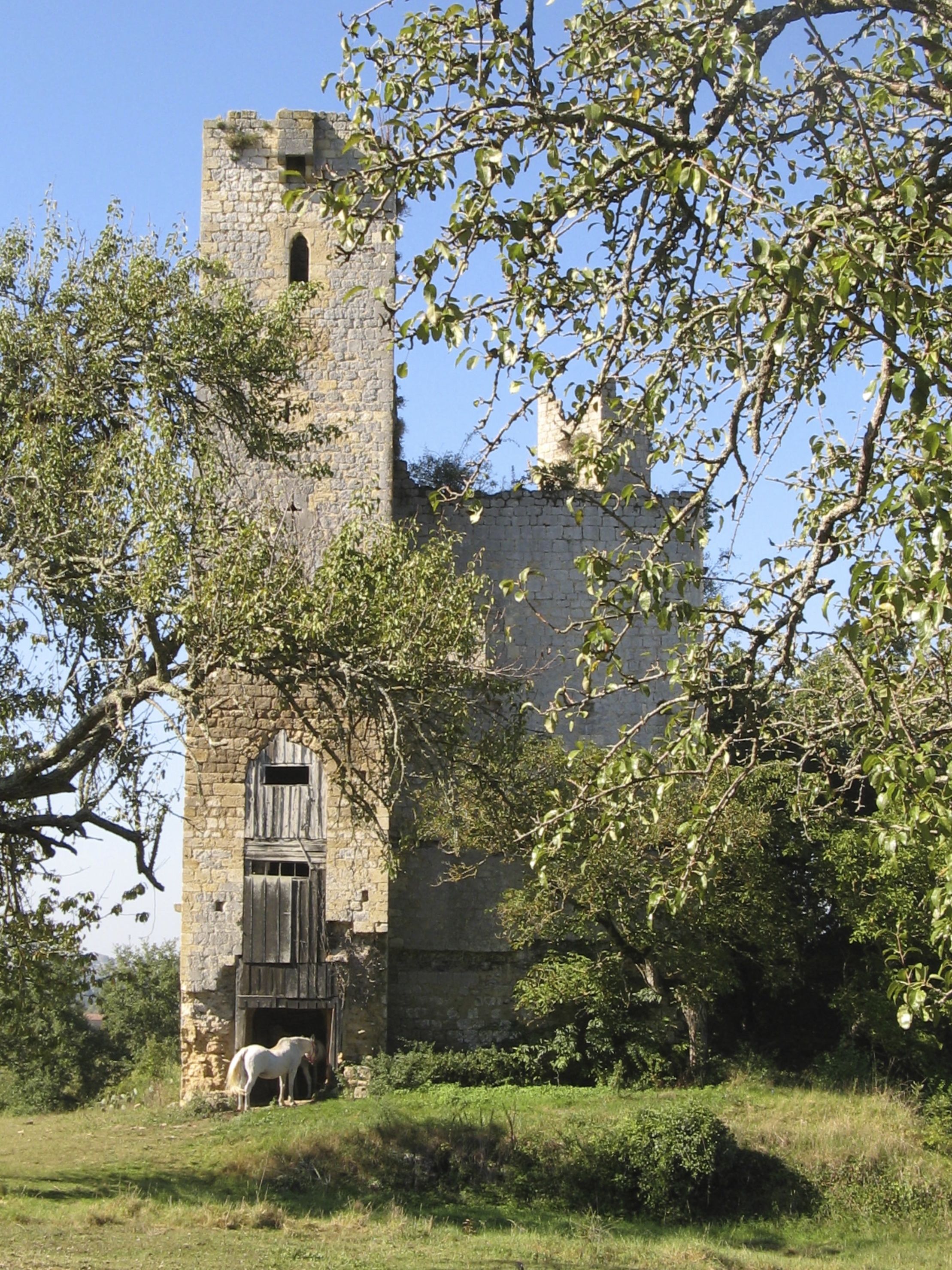 Chateau de Tauzia