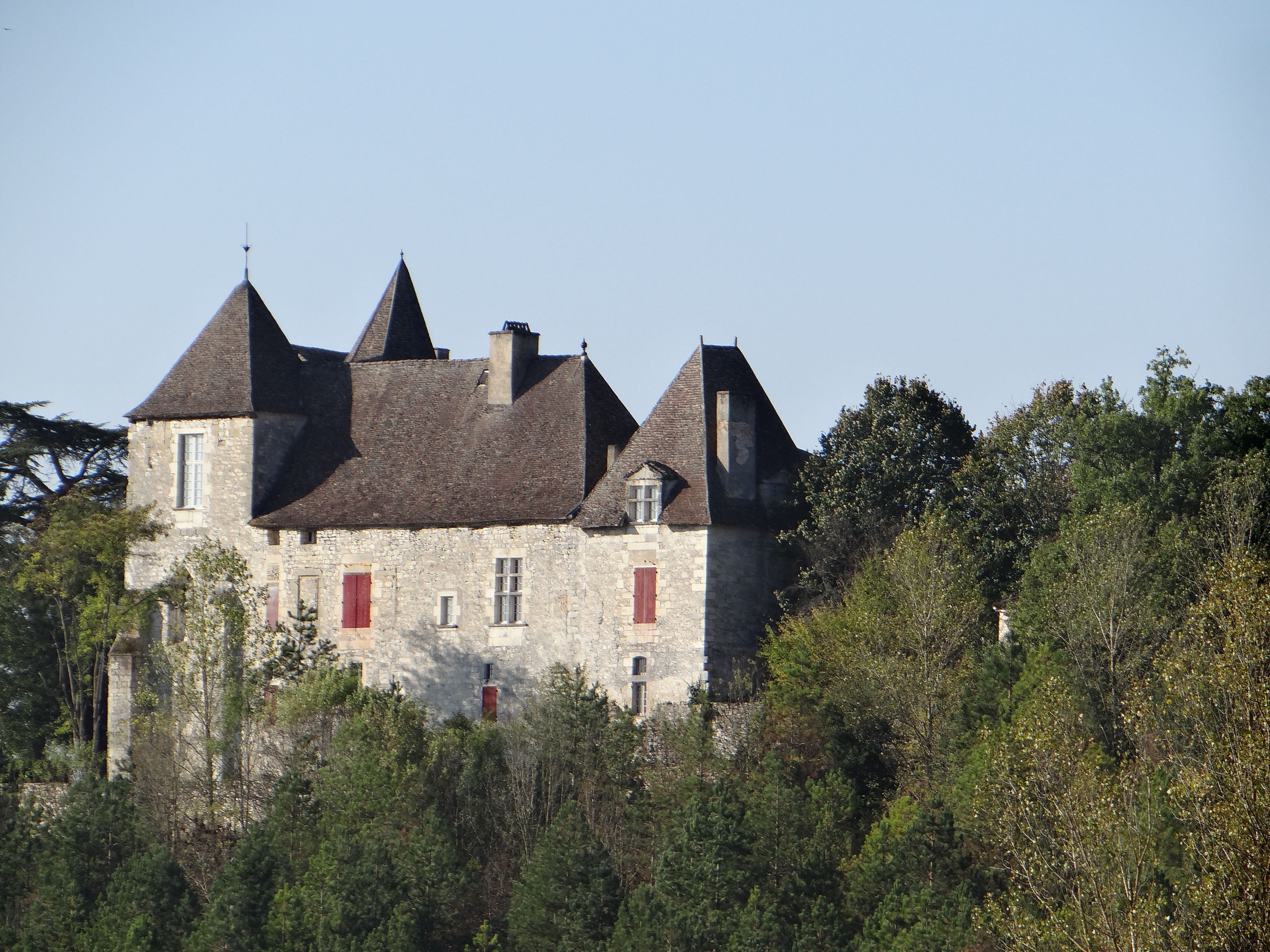 Chateau de Roquefere