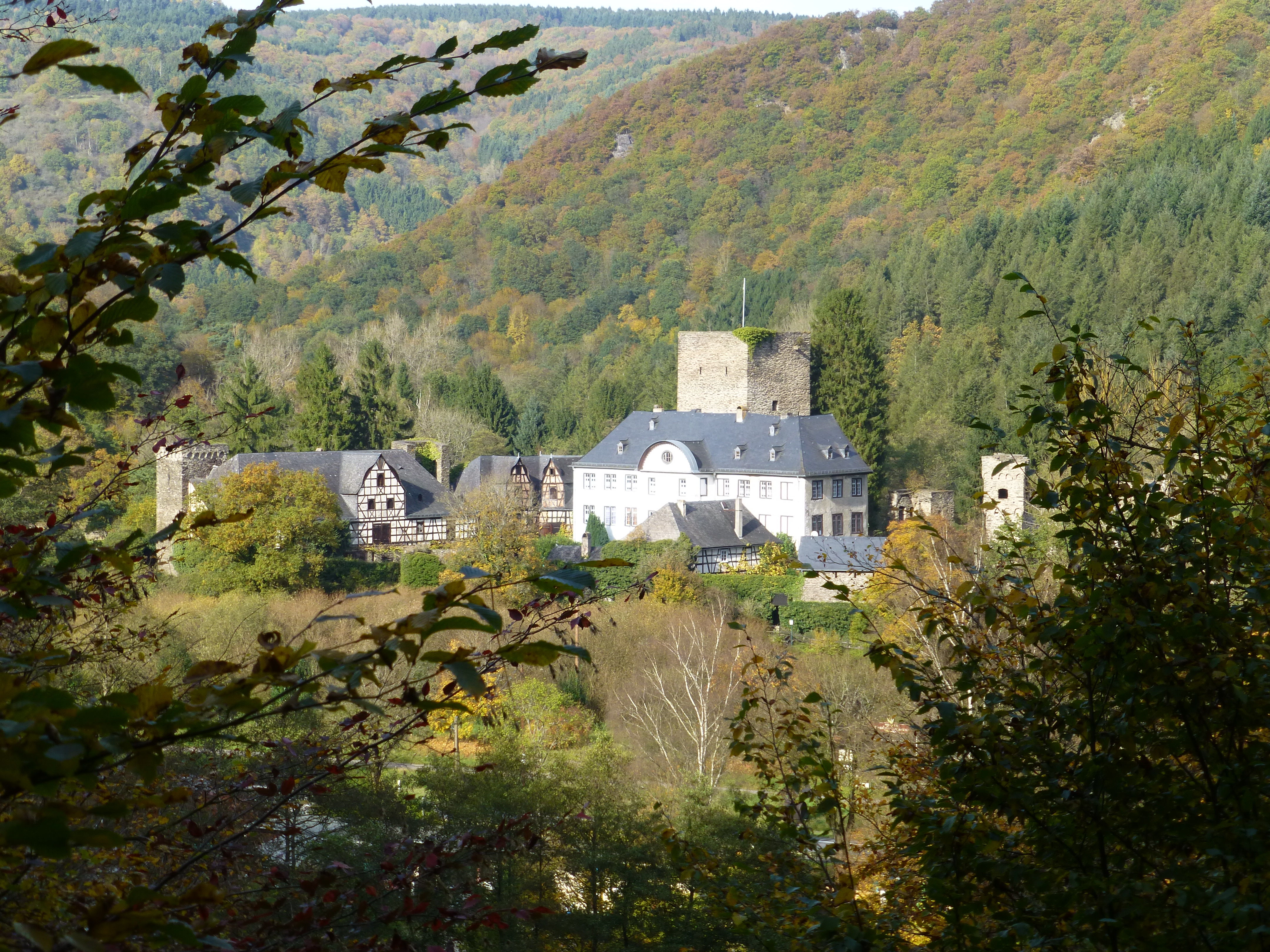 Langenau Castle