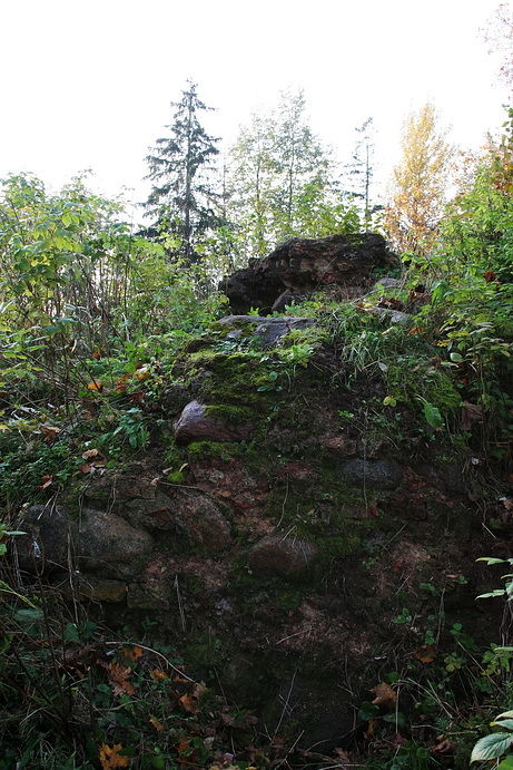 Castillo de Rokantiškės