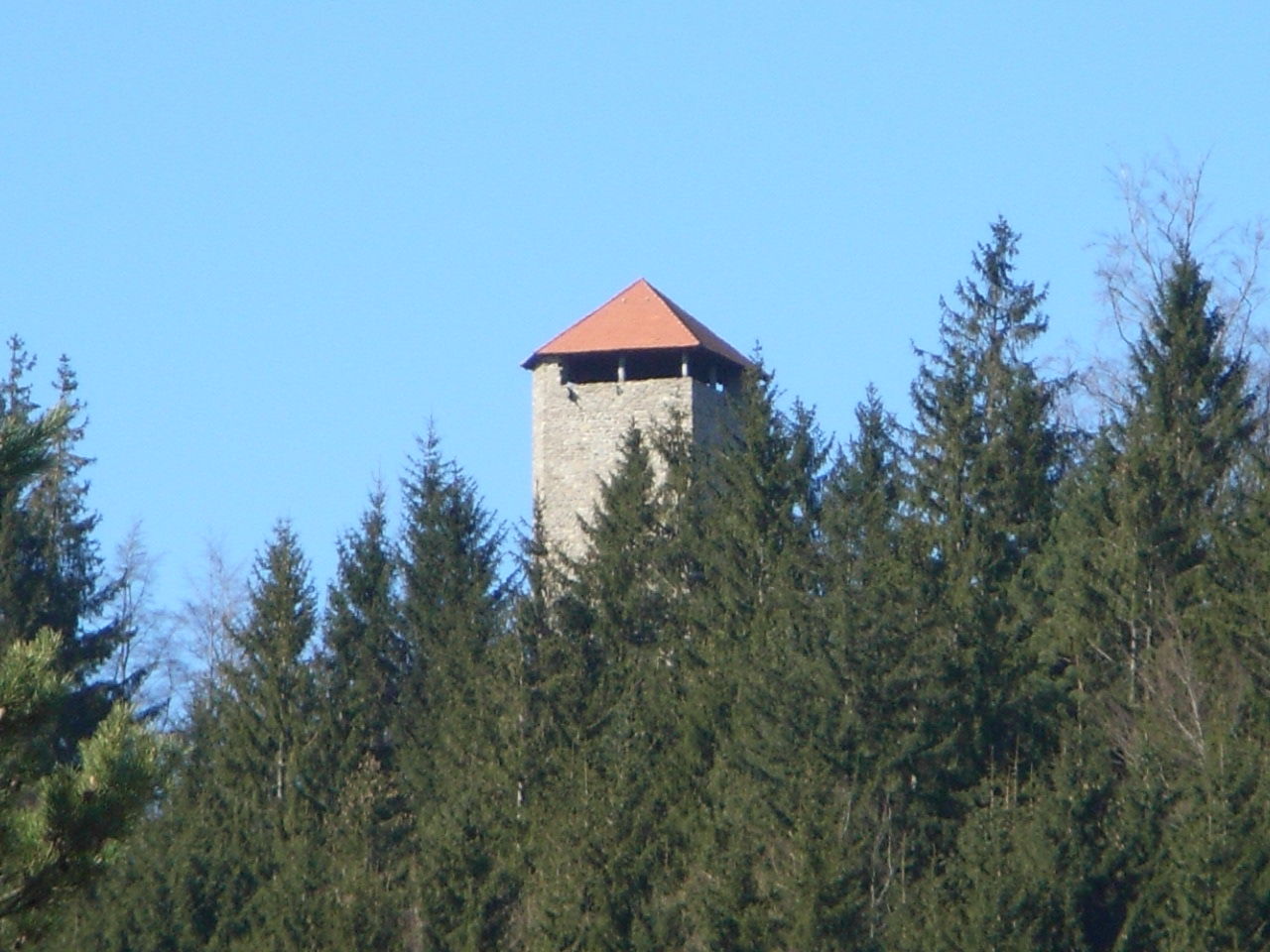 Burg Altnußberg