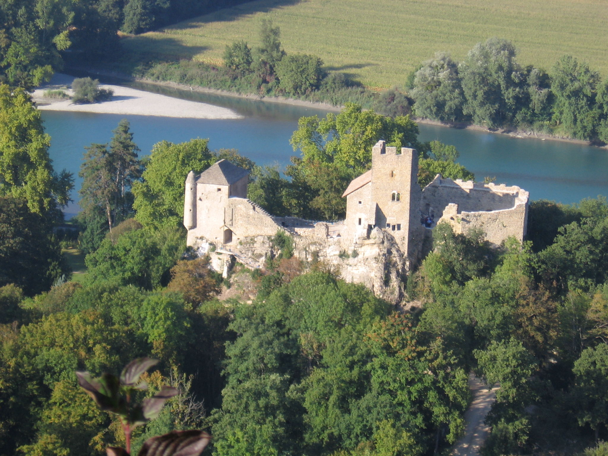 château Vieux de Vertrieu