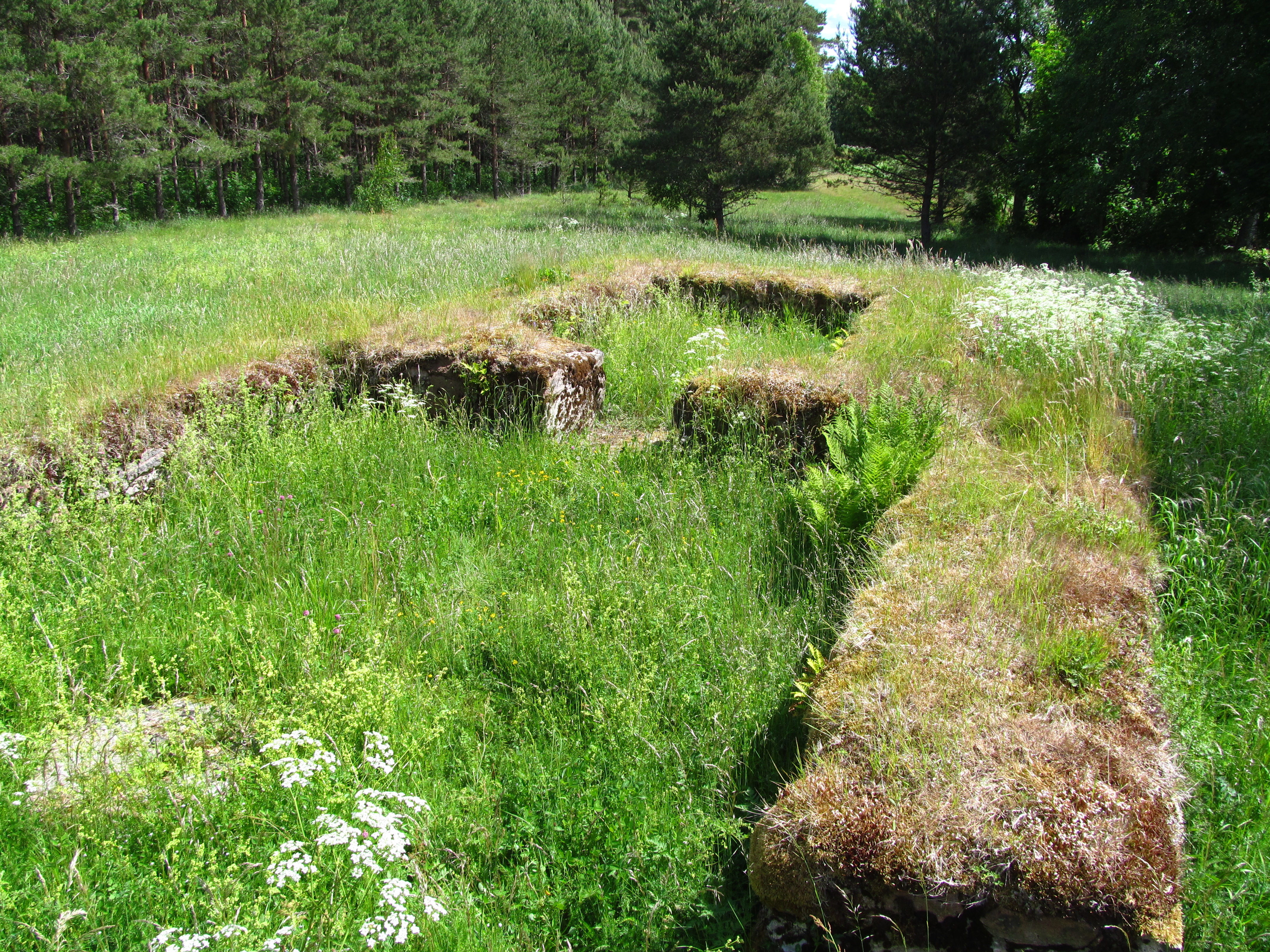 Ballstorps kyrkoruin