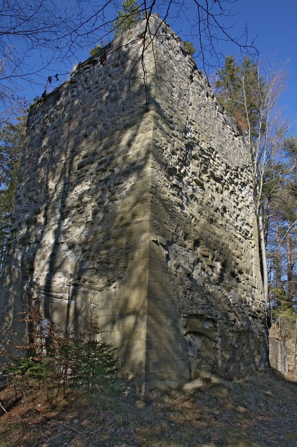 Burgruine Obermaggenberg