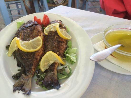 Nirvana Taverna Restaurant