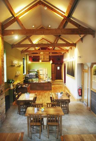 Trinity Cabbages & Condoms