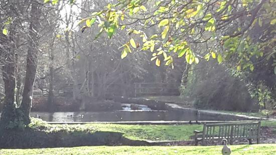 Bradbourne Lake Park