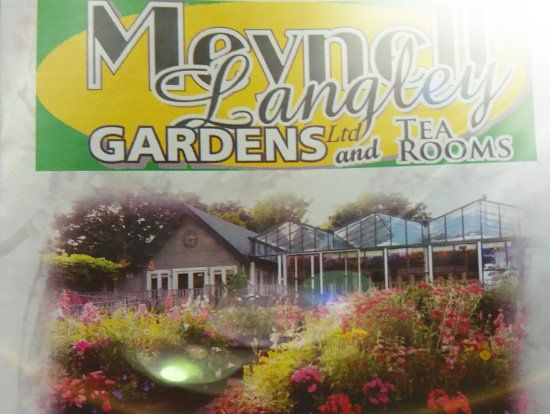 Meynell Langley Gardens