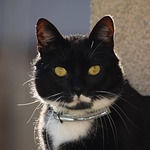 Cicha Przystan Tawerna Restauracja