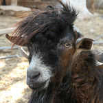 China-Restaurant Hongkong