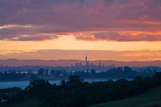 Cable Bay Vineyards Winery and Restaurant