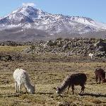 Restaurant Zwolfender