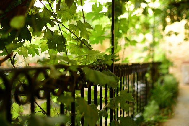 The Medina Restaurant