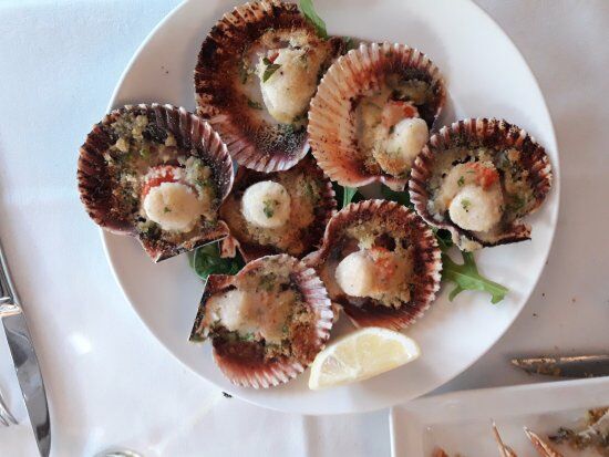 Ristorante Hotel Pizzeria Due Madonne