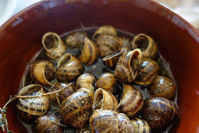 Saligaros