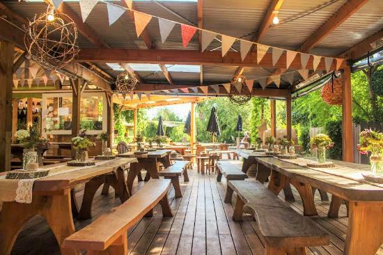 T.O.A.D Hall Store & Cafe