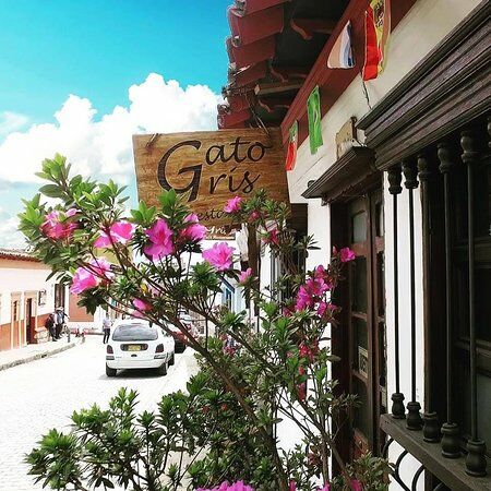 Café e El Gato Gris