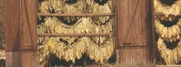 Tobacco Museum Lorsch