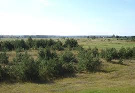 Rezerwat przyrody Hubale