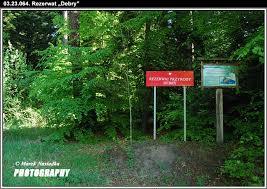 Rezerwat przyrody Debry