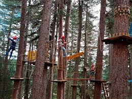 Parco Avventura Silavventura