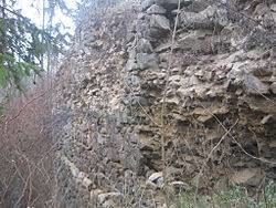 Kozli