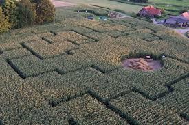 Maislabyrinth Wachtendonk