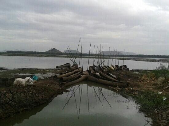 Kondakarla Bird Sanctuary