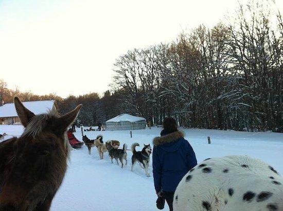 Le Camp Nicolas Vanier