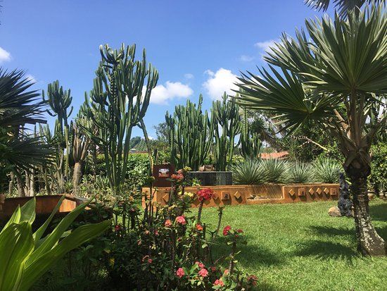 Jardin Exótico Kamala