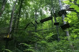 Leśny Park Przygody Skalisko