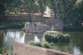 Puente Viejo de Zamora