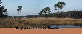 Strijbeekse Heide