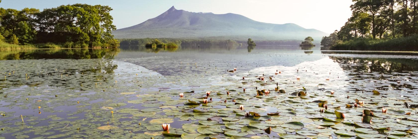 Parque Nacional de Onuma