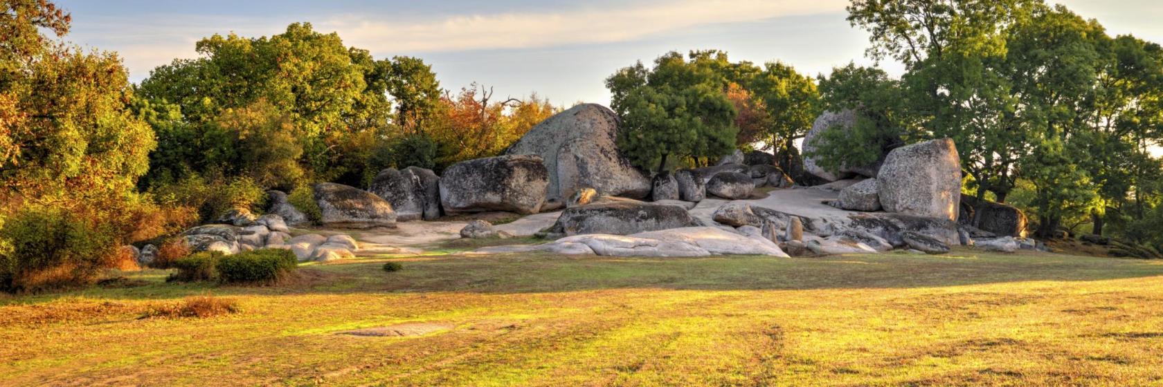 Riserva Naturale di Ropotamo