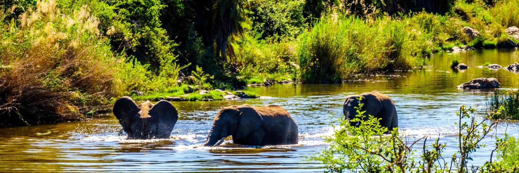 Wildtierreservat Olifants West Game Reserve